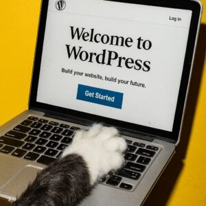 Agence web à Culoz | WebM – Création de sites internet & référencement local