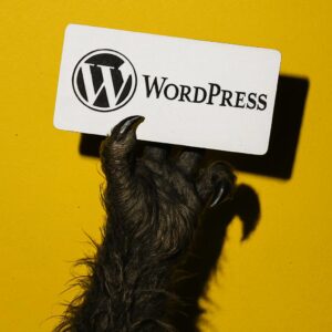 Agence web à Prévessin-Moëns | WebM – Création de sites vitrines & e-commerce sur mesure