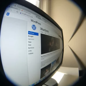 Site vitrine à Moulins – Création de site professionnel & SEO local